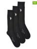 U.S. Polo Assn. 3er-Set: Socken in Schwarz