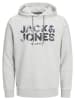 Jack & Jones Hoodie "James" in Hellgrau