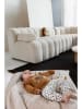 Dirkje Sweathose in Beige
