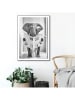 Orangewallz Ingelijste kunstdruk "Elephant Toilet"