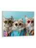 Orangewallz Druk artystyczny "Cat Band" w ramce - 50 x 40 cm