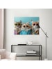 Orangewallz Druk artystyczny "Cat Band" w ramce - 50 x 40 cm