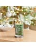 Yankee Candle Świeca zapachowa "Shimmering Christmas Tree" - 567 g