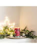 Yankee Candle Świeca zapachowa "Sparkling Winterberry" - 567 g