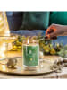 Yankee Candle Świeca zapachowa "Shimmering Christmas Tree" - 567 g