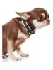 VOV & VUF Hundehalsband in Schwarz/ Weiß
