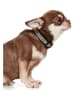 VOV & VUF Hundehalsband in Schwarz/ Creme