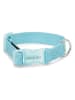 VOV & VUF Hundehalsband in Hellblau