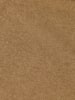 Scotch & Soda Shirt in Camel