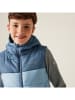 Regatta Functionele bodywarmer "Loft House BW II" lichtblauw