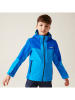 Regatta Softshelljacke "Hayden Bury II" in Blau