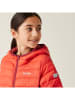 Regatta Steppjacke "Marizion" in Rot