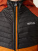 Regatta Hybridjacke "Kielder VIII" in Orange/ Anthrazit