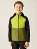 Regatta Hybridjacke "Kielder VIII" in Grün