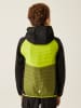 Regatta Hybridjacke "Kielder VIII" in Grün