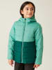 Regatta Winterjacke "Loft House VIII" in Grün