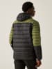 Regatta Hybridjacke "Leedre" in Khaki/ Schwarz