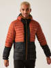 Regatta Hybride jas "Leedre" rood/zwart
