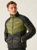 Regatta Steppjacke "Dalent" in Anthrazit/ Grün