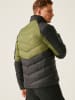 Regatta Steppjacke "Dalent" in Anthrazit/ Grün
