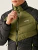 Regatta Steppjacke "Dalent" in Anthrazit/ Grün