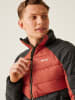 Regatta Steppjacke "Dalent" in Schwarz/ Rot