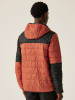 Regatta Steppjacke "Hillpack III" in Orange