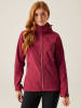 Regatta Softshelljacke "Desoto X" in Rot