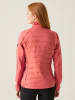 Regatta Hybridjacke "Clumber V" in Pink