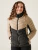 Regatta Steppjacke "Dalent" in Beige/ Braun