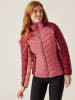 Regatta Steppjacke "Dalent" in Rot