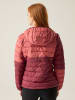 Regatta Steppjacke "Hillpack III" in Rot