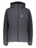 SPYDER Ski-/ Snowboardjacke "Liability" in Grau