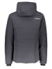 SPYDER Ski-/ Snowboardjacke "Liability" in Grau