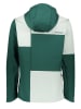 SPYDER Softshelljacke "Spyder" in Grün
