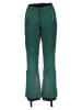 SPYDER Ski-/snowboardbroek "Winner" grijs