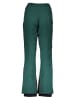 SPYDER Ski-/snowboardbroek "Winner" grijs