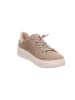 Legero Leder-Sneakers "Rejoise" in Beige