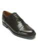 British Passport Leren veterschoenen bruin