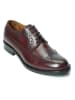 British Passport Leder-Schnürschuhe in Bordeaux