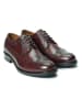 British Passport Leren veterschoenen bordeaux