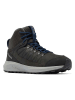 Columbia Leren wandelschoenen "Trailstorm Crest" zwart