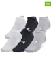 Under Armour Skarpety sportowe (6 par) "Essential" w kolorze białym, czarnym i szarym