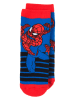 Spiderman Sokken "Spiderman" blauw/rood