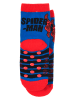 Spiderman Sokken "Spiderman" blauw/rood