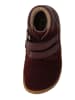 Lurchi Leren barefootschoenen "Nino" rood