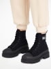 Tommy Hilfiger Shoes Boots in Schwarz