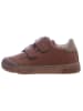 Naturino Leren sneakers "Eindhoven" bruin
