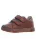 Naturino Skórzane sneakersy "Eindhoven" w kolorze brązowym