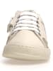 Naturino Leren sneakers "Quar" beige/goudkleurig